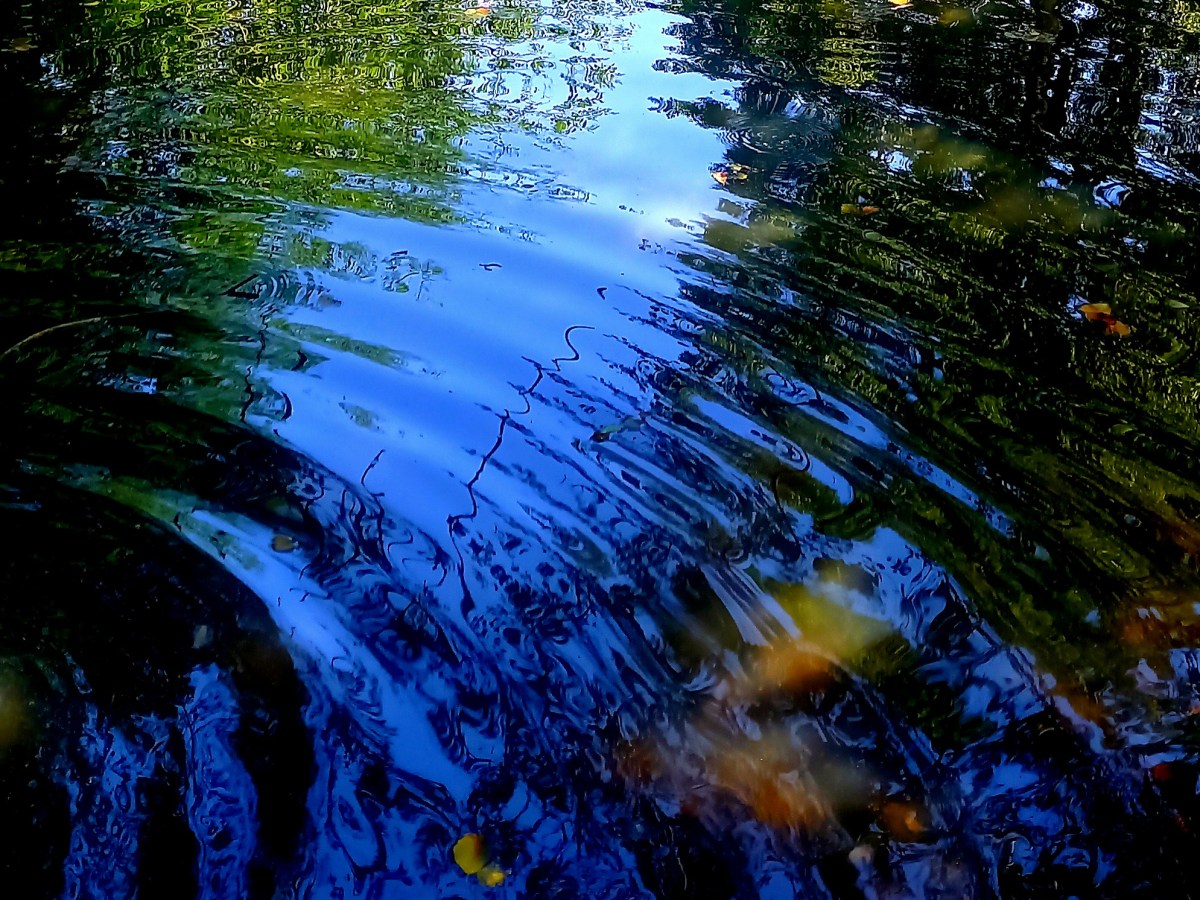 Laurie Lee –Florence Tuck, Loose Women and the Power of&nbsp;Projection