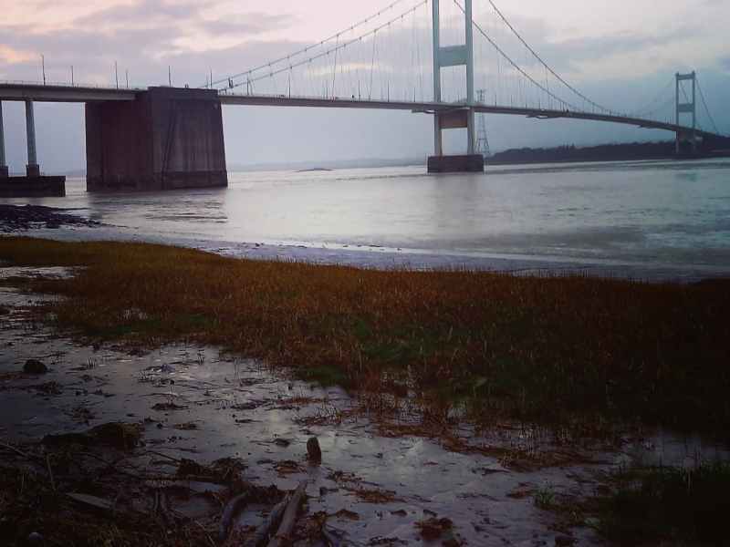 Janus, Edgelands and New Years Day&nbsp;2022